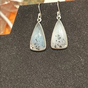 Elegant Silver and Blue Dangle Earrings